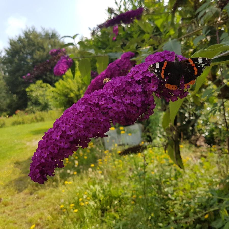 לינה וארוחת בוקר ג'וסלין Domaine De La Chesnaie מראה חיצוני תמונה