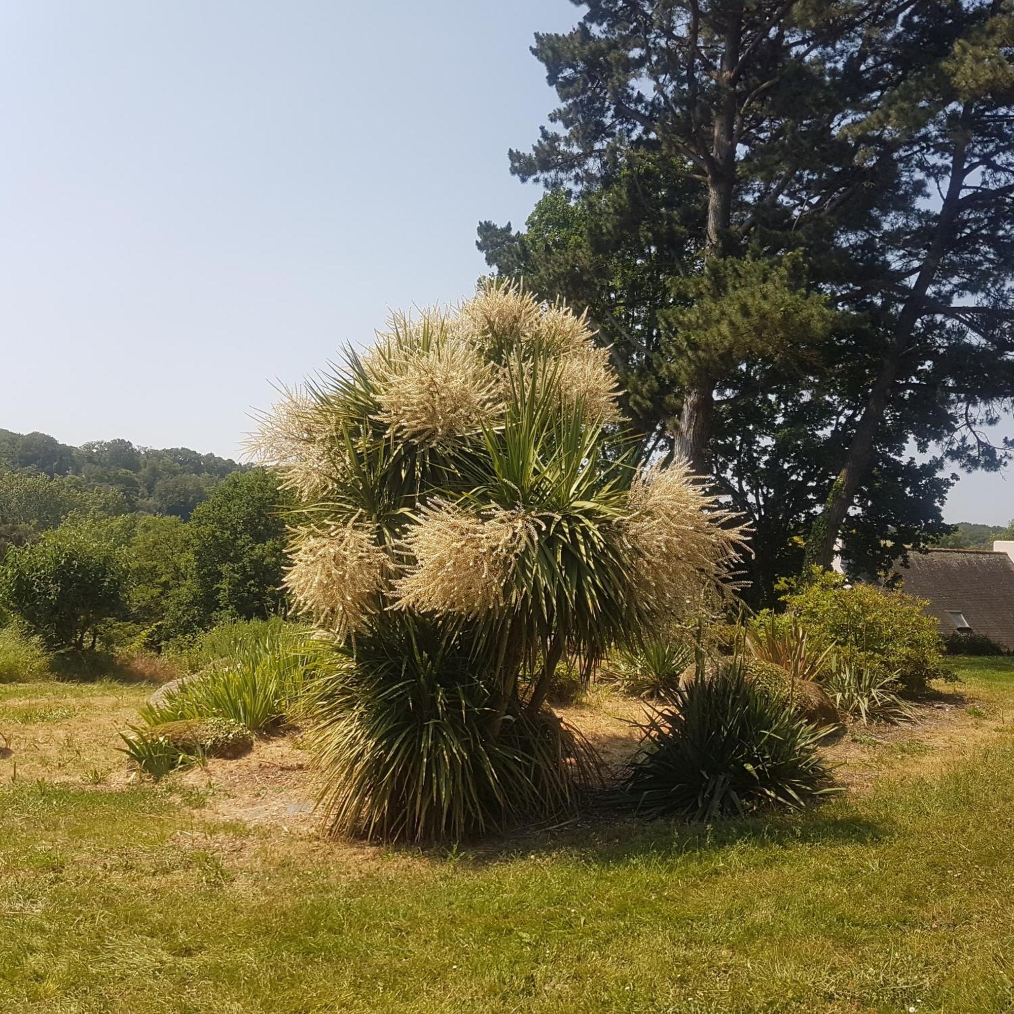 לינה וארוחת בוקר ג'וסלין Domaine De La Chesnaie מראה חיצוני תמונה