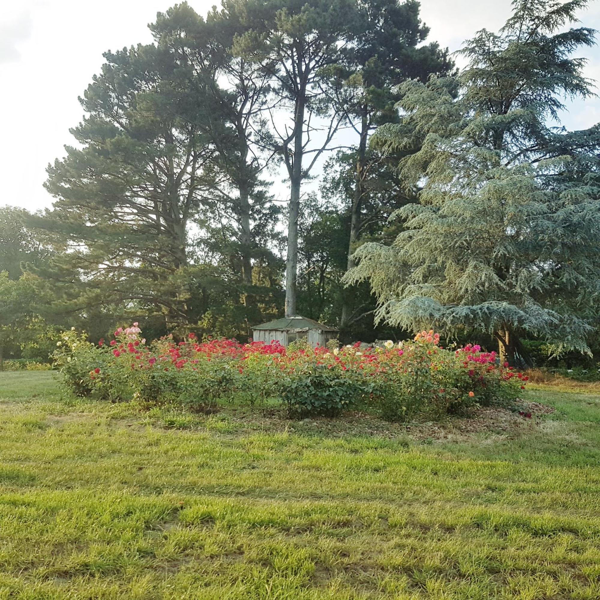 לינה וארוחת בוקר ג'וסלין Domaine De La Chesnaie מראה חיצוני תמונה