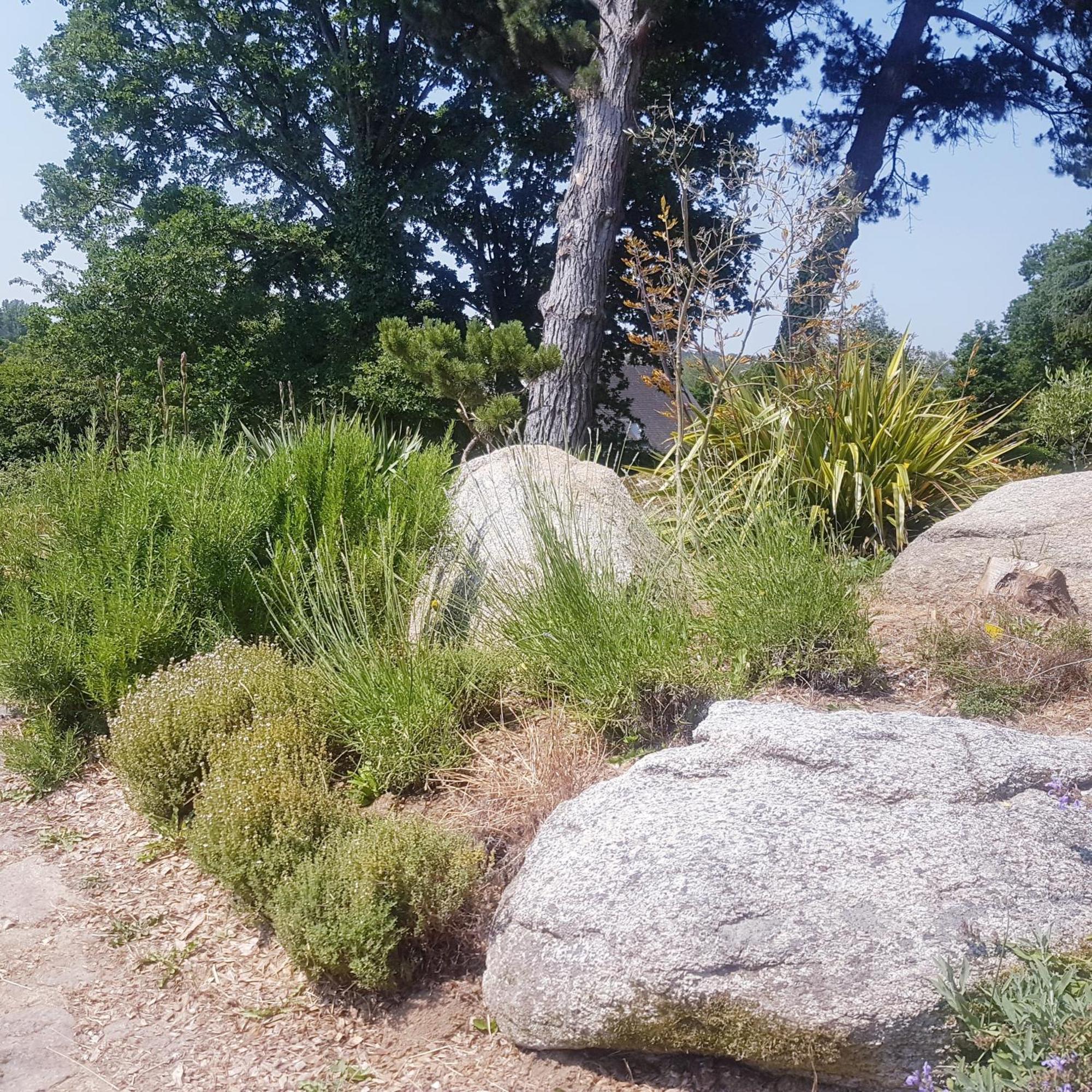 לינה וארוחת בוקר ג'וסלין Domaine De La Chesnaie מראה חיצוני תמונה