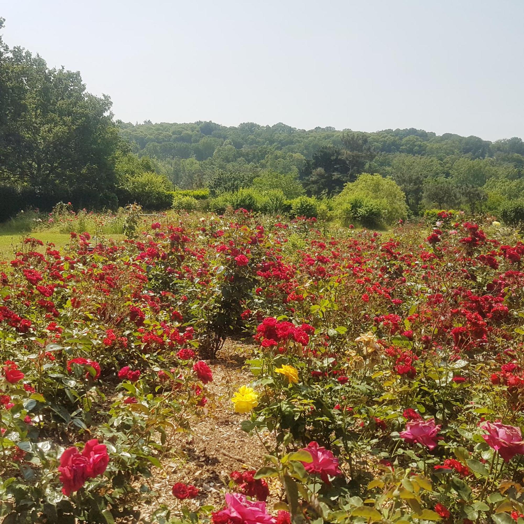 לינה וארוחת בוקר ג'וסלין Domaine De La Chesnaie מראה חיצוני תמונה